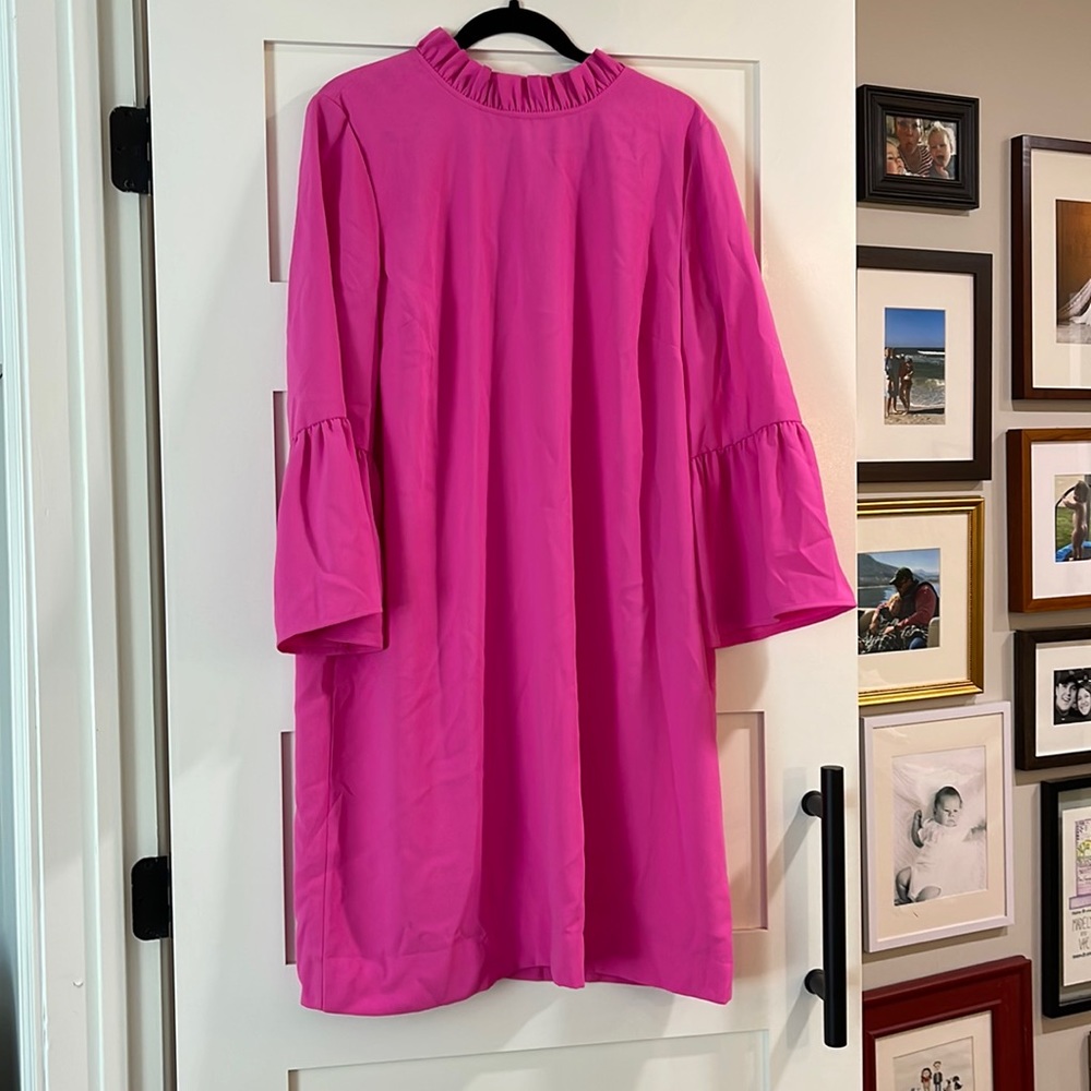 NWT J Crew Dress